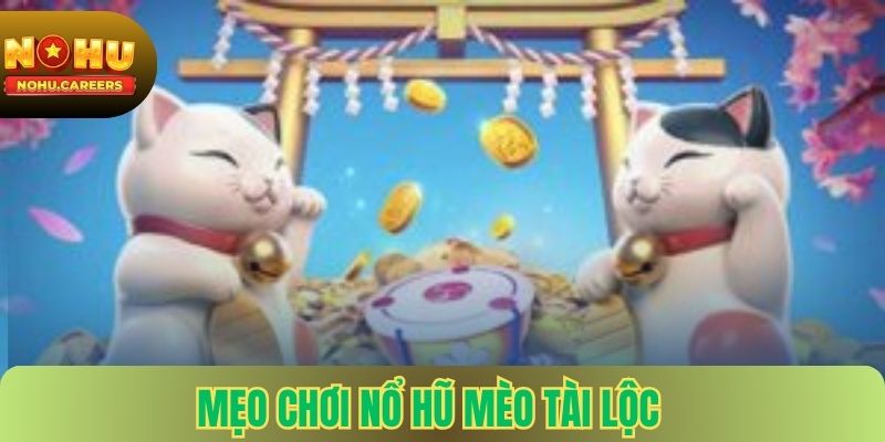 Mẹo chơi nổ hũ mèo tài lộc hiệu quả