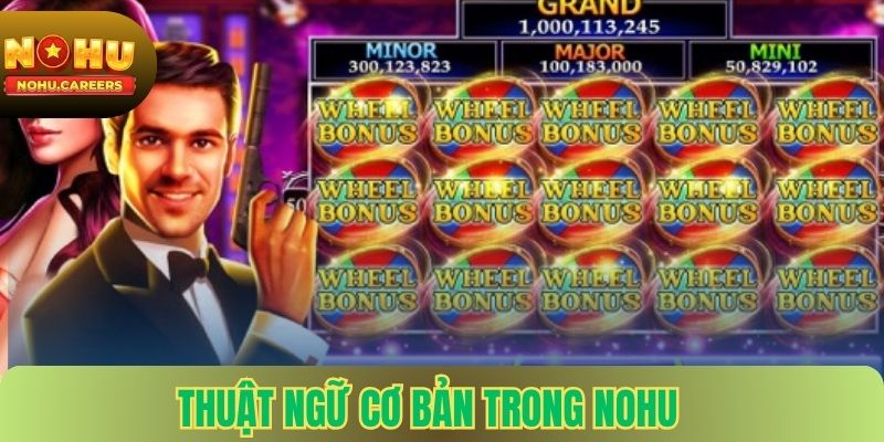 Thuật ngữ cơ bản trong nohu