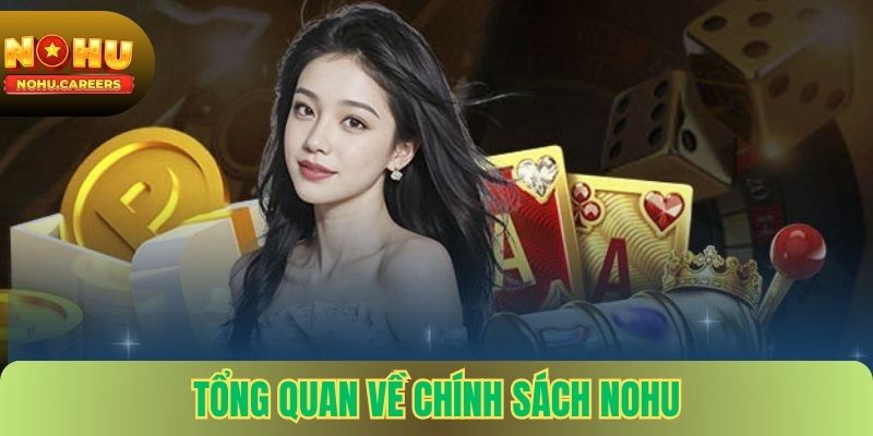 Tổng quan về chính sách Nohu